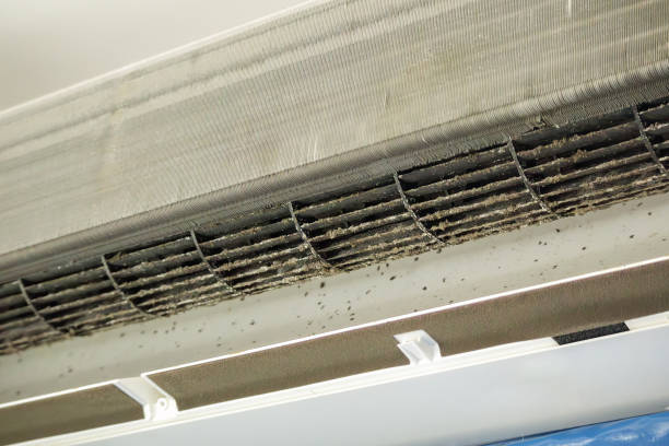 Best Commercial Air Duct Cleaning  in Mitchell, IN